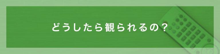 どうしたら観られるの？