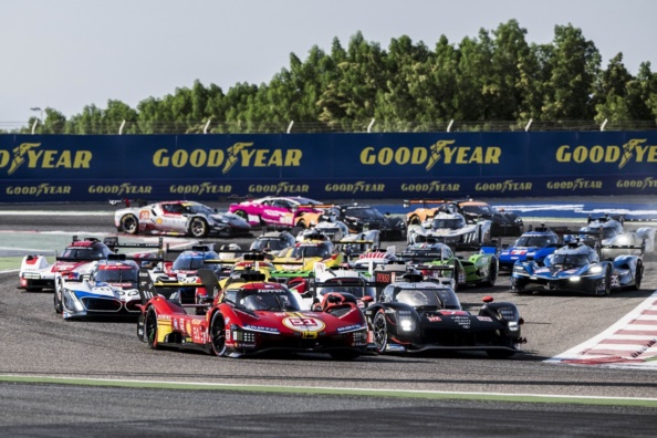 FIA 世界耐久選手権(WEC) 2025